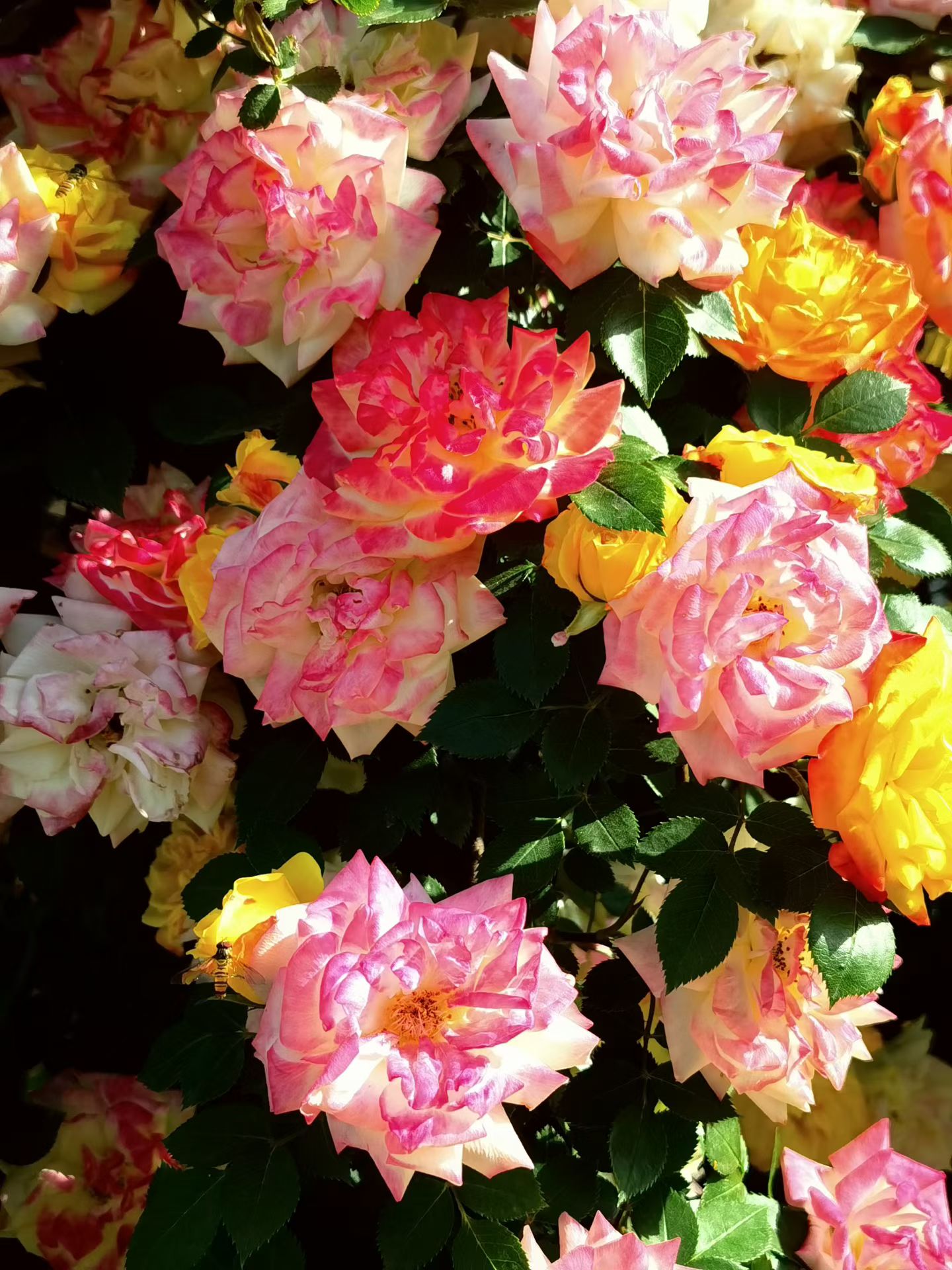 Photo by WoLoveAIUser