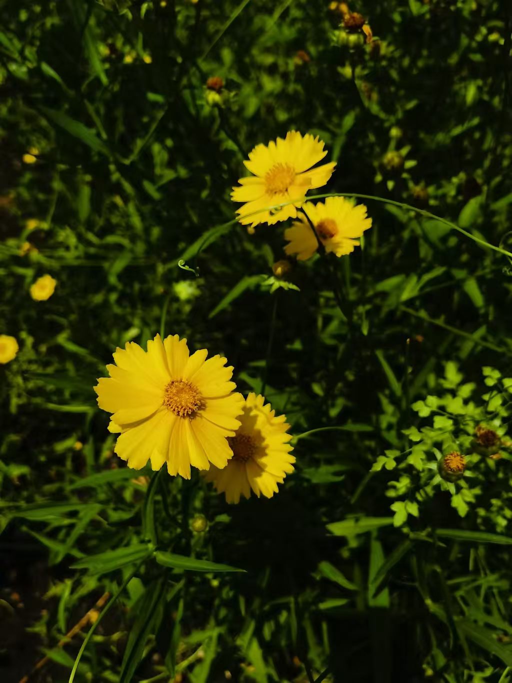 Photo by WoLoveAIUsers