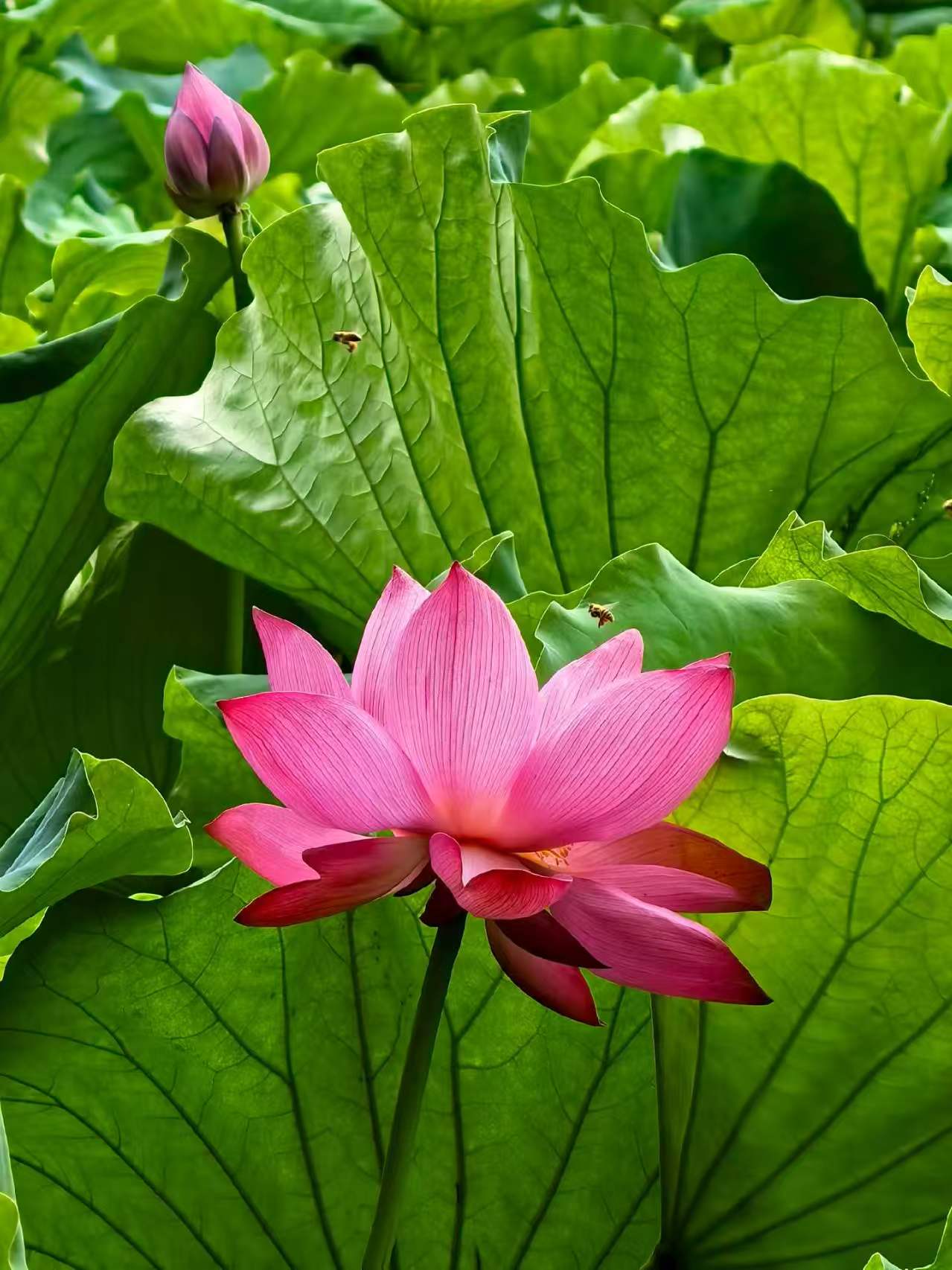 Photo by WoLoveAIUsers