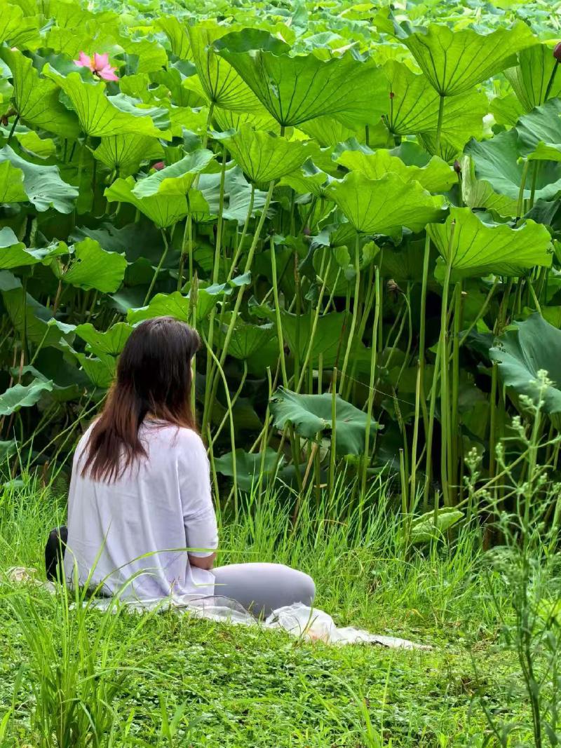 Featured image of post 六月的荷花